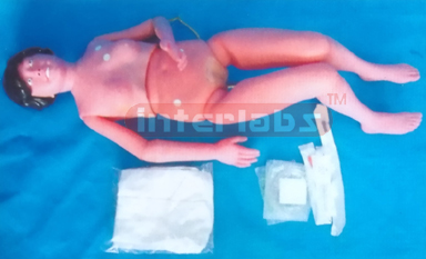 NATURAL BASIC PATIENT CARE MANIKIN (INSIDE RECHARAGABLE BATTERY)